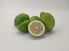 Carica l'immagine nel visualizzatore di Gallery, Limoni siciliani dell' Etna - Primofiore